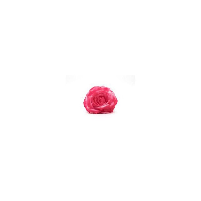 FLOR ROSA MADEIRA TEÑIDA FUCSIA 13*13