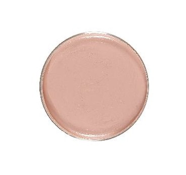 MAQUILLAJE EN CREMA COLOR PIEL 25gr.