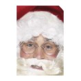 GAFAS SANTA CLAUS