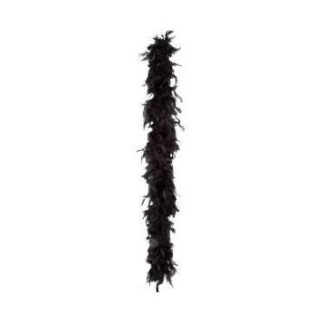 BOA PLUMA NEGRO 50GR. (180 cm)