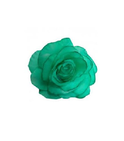 FLOR ROSA MADEIRA TEÑIDA VERDE MENTA 13*13