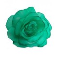 FLOR ROSA MADEIRA TEÑIDA VERDE MENTA 13*13