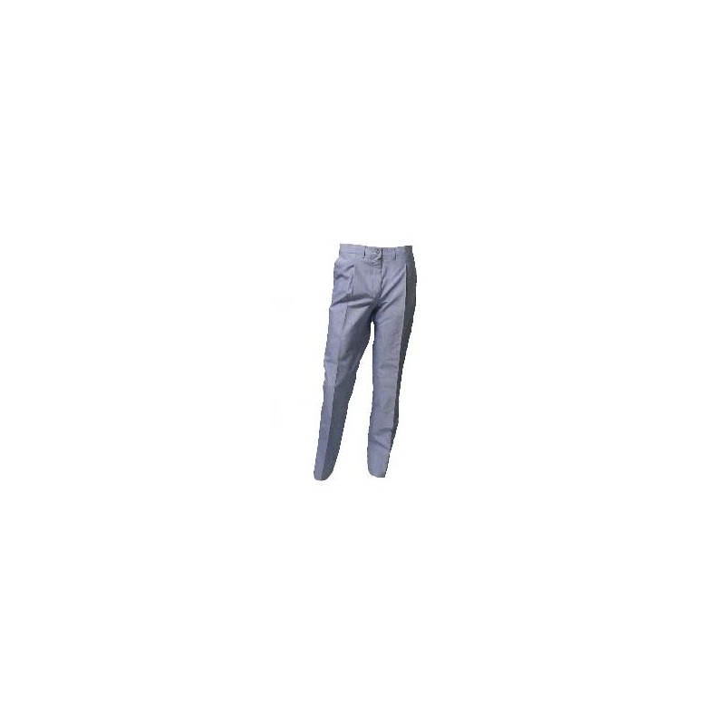 PANTALON TRAVILLA MIL RAYAS 46