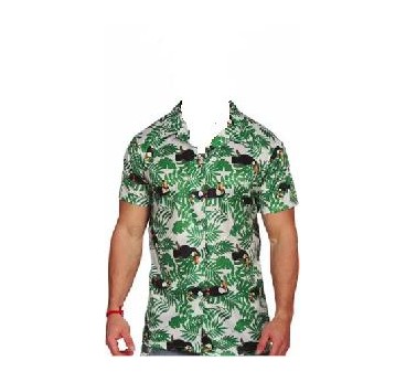 CAMISETA  HAWAIANA