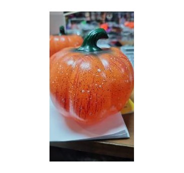 -CALABAZA SENCILLA