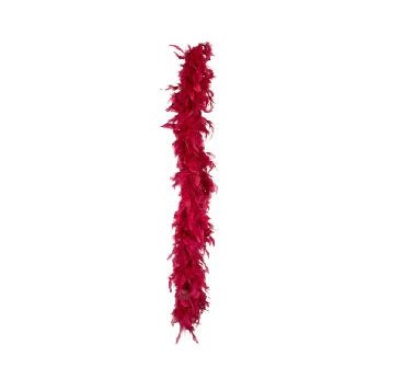 BOA DE PLUMAS BURDEOS (180 cm)