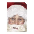 GAFAS SANTA CLAUS