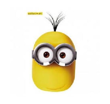 -MASCARA DE MINION