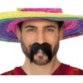 -BIGOTE MEXICANO